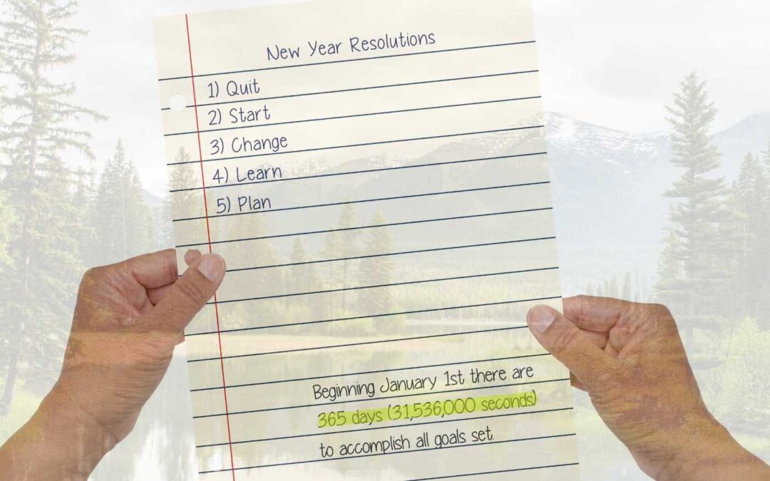New Year Study Plan and Resolution for a Student Real-Life Examples